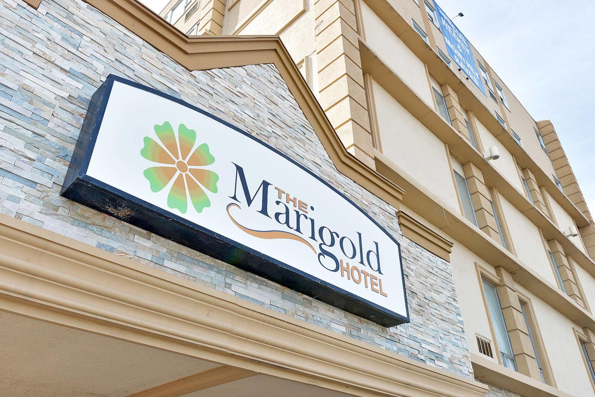 The Marigold Hotel برامبتون المظهر الخارجي الصورة